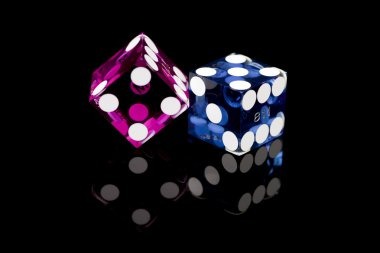 Live blackjack table with dealer and player cards
